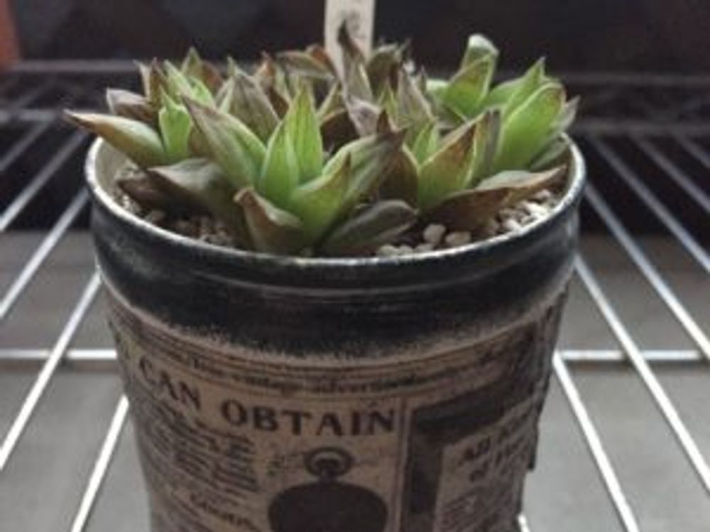 Photo by ktyan2015さん