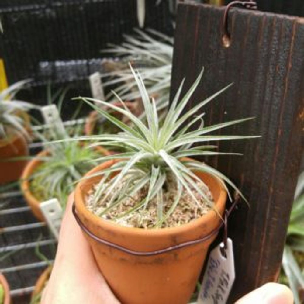 Photo by shina_akiさん