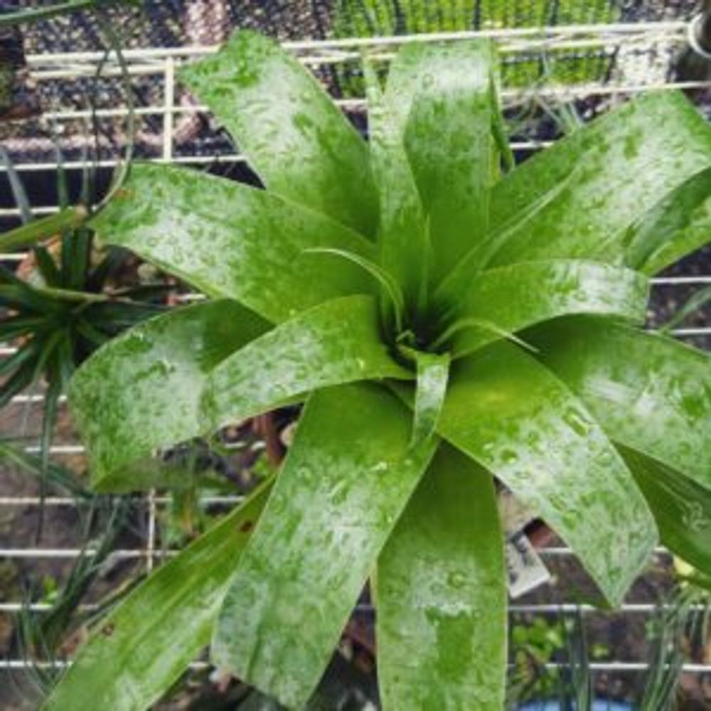 Photo by shina_akiさん