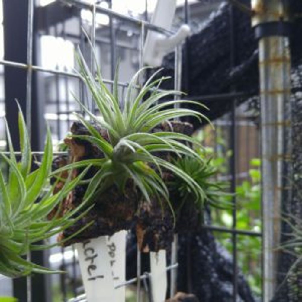 Photo by shina_akiさん