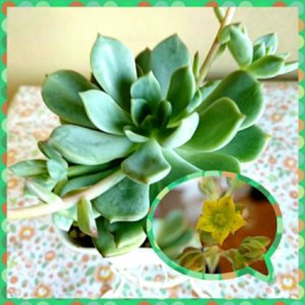 Photo by オガチャンさん