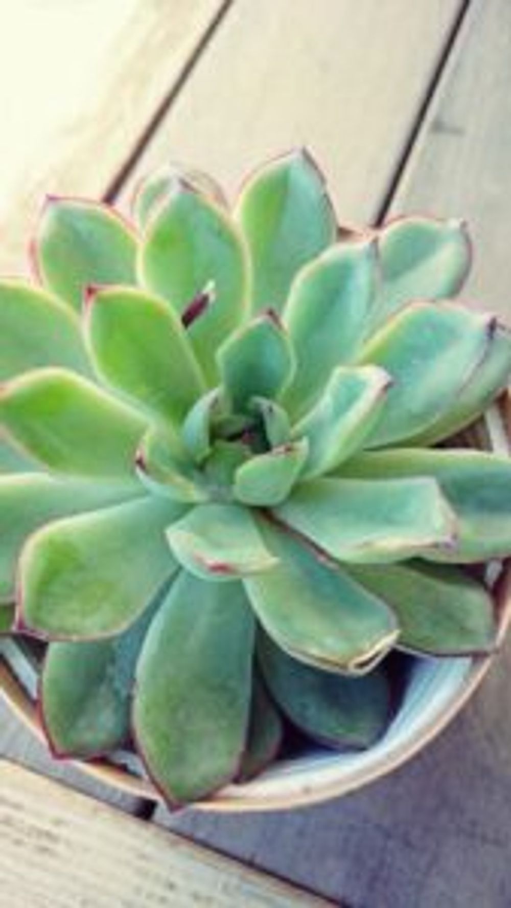 Photo by miariさん