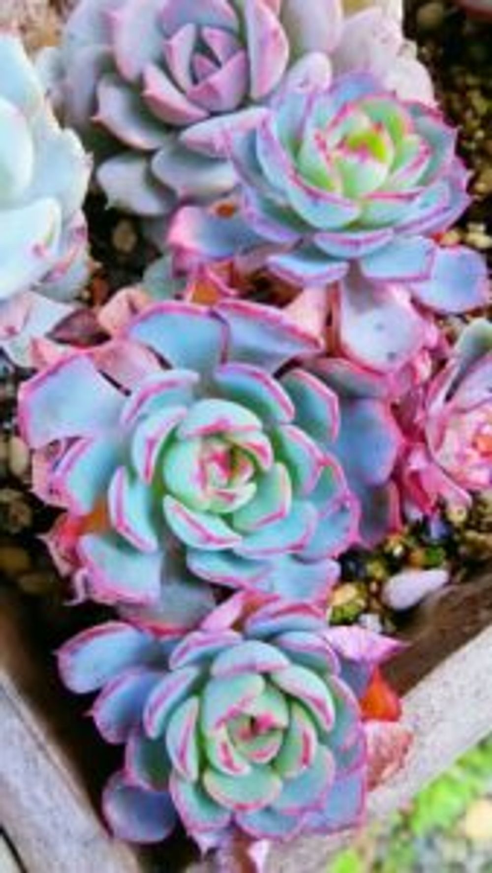 Photo by えみちんさん