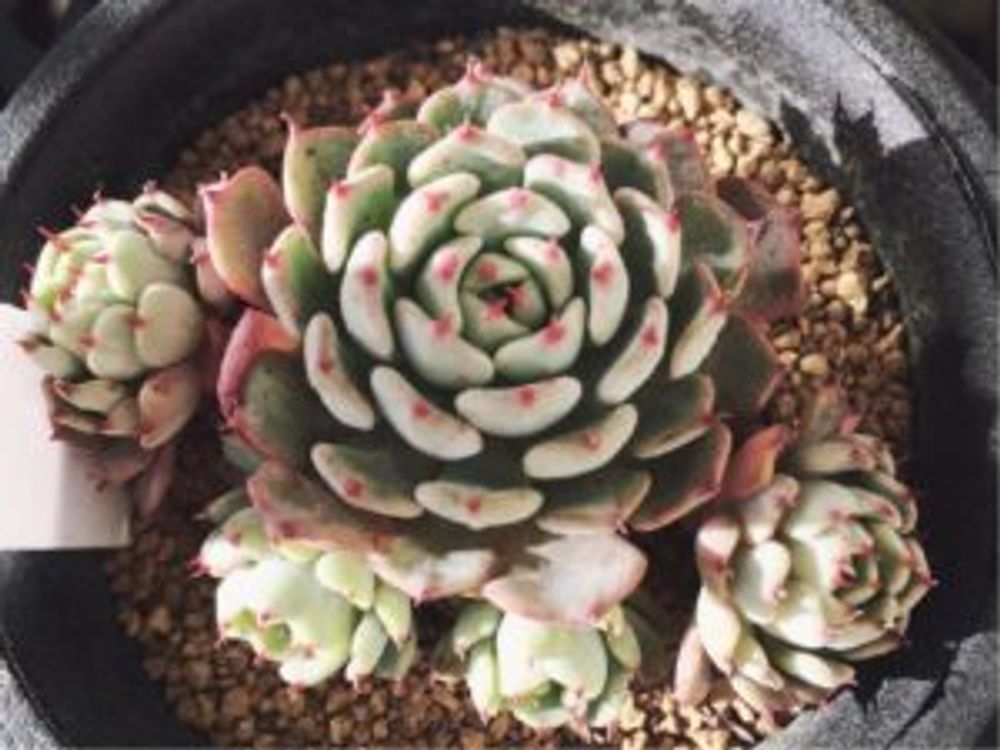 Photo by stilaさん