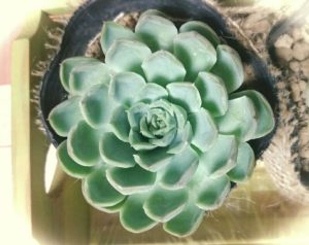 Photo by ｅmｉさん