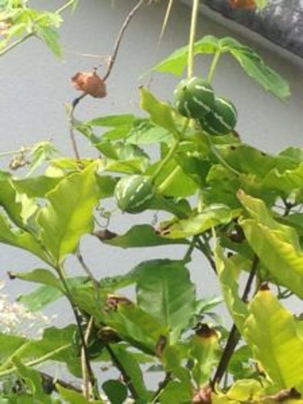 Photo by レンレンさん