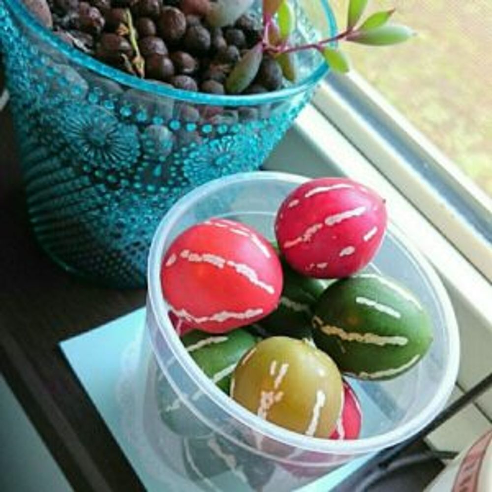 Photo by yocchiさん