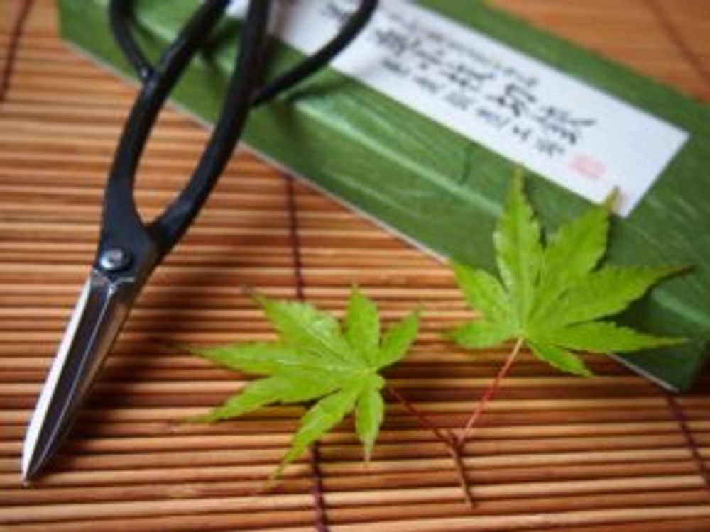 Photo by Unfloatさん