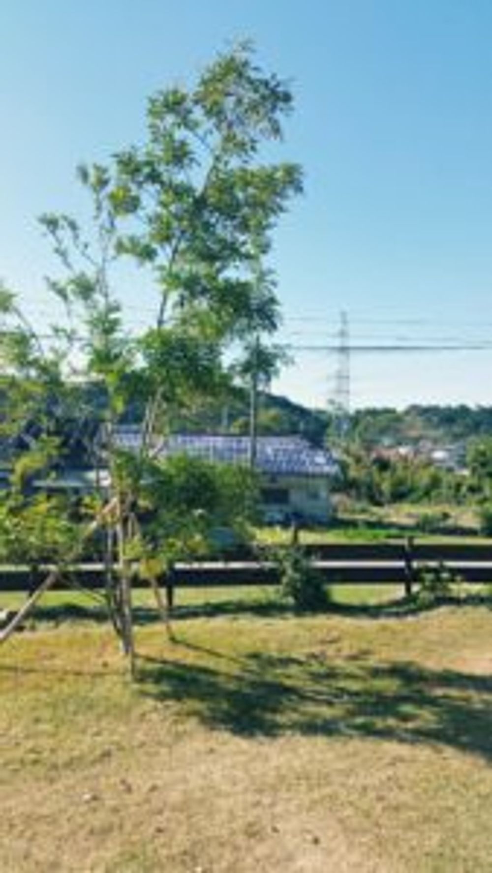 Photo by mikijunさん