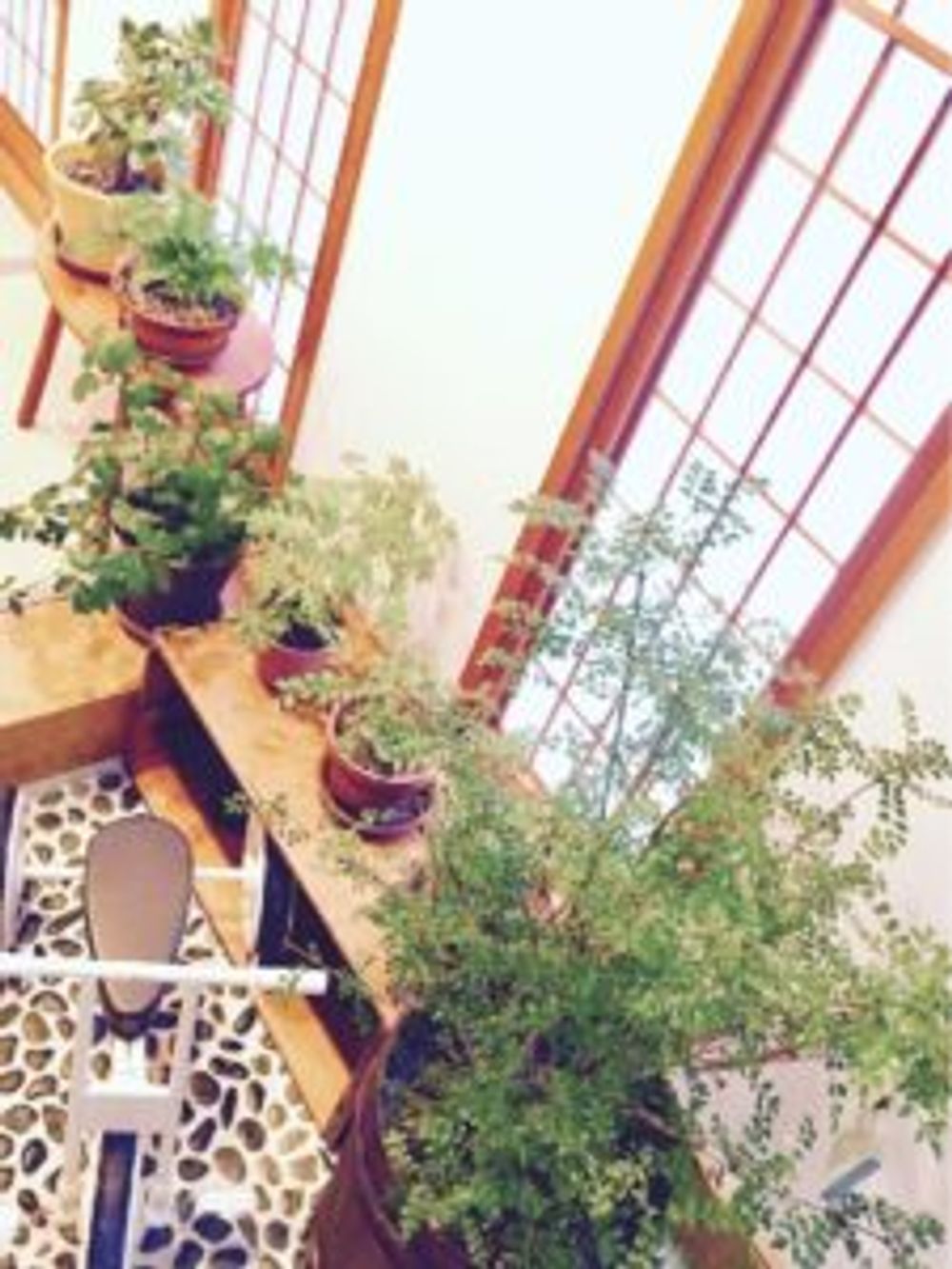 Photo by IBUKIさん