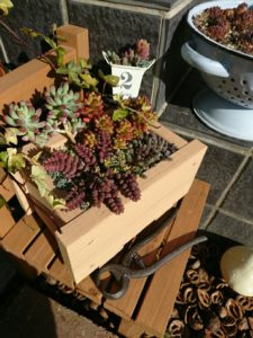 Photo by kyirkさん