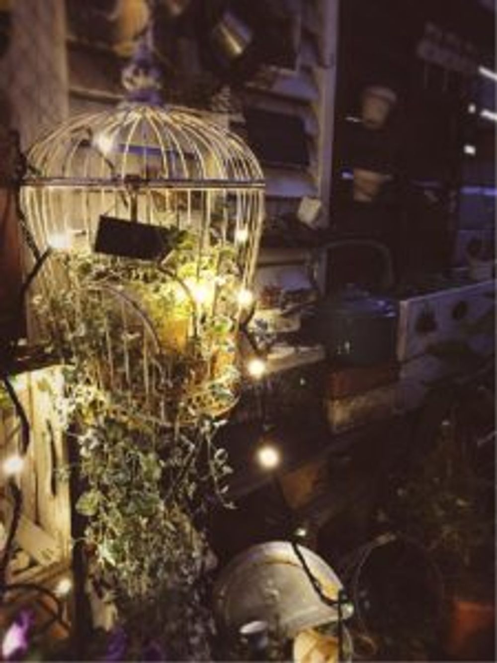 Photo by kurumichocoさん