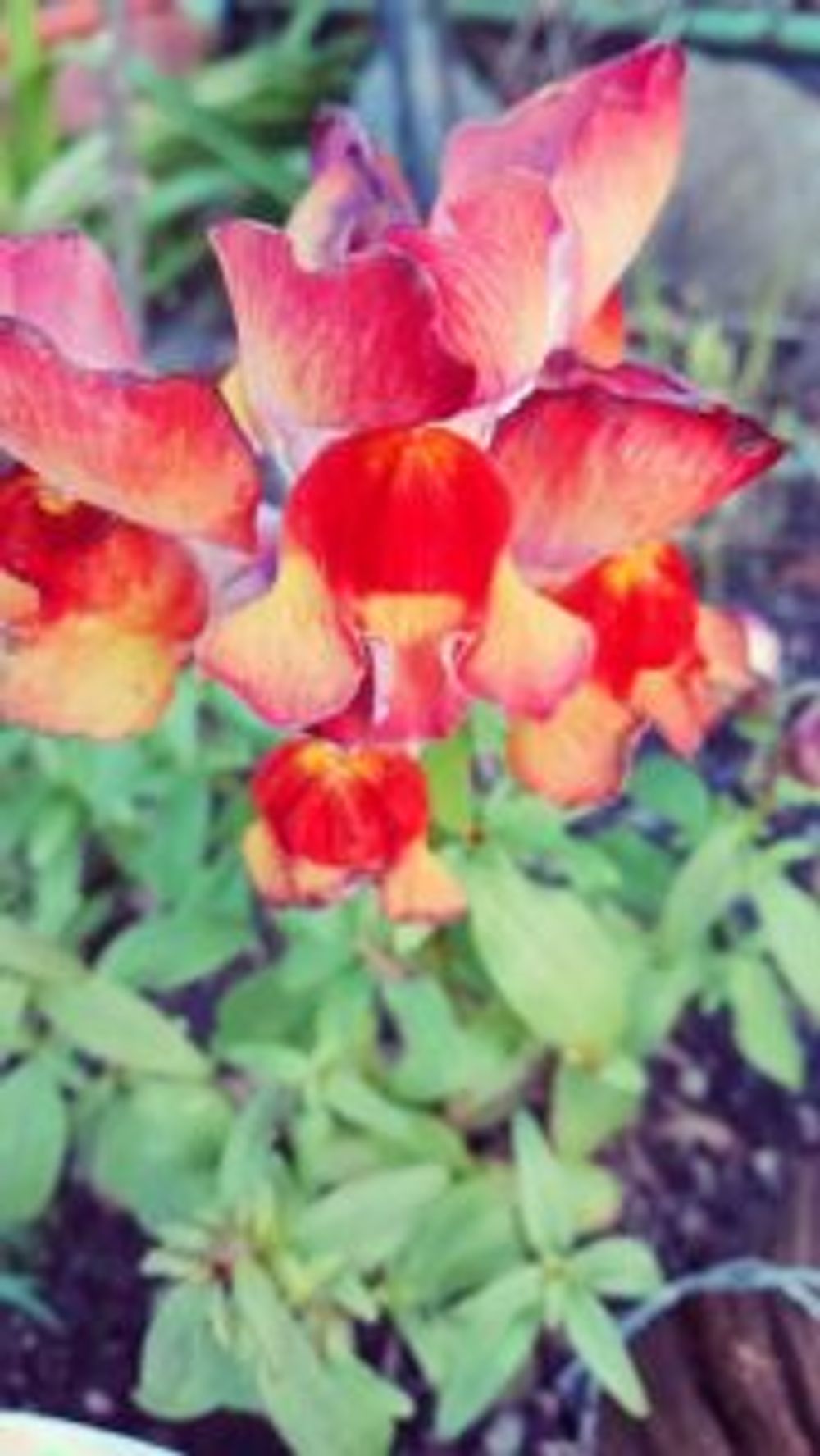 Photo by LADTYBIRDさん