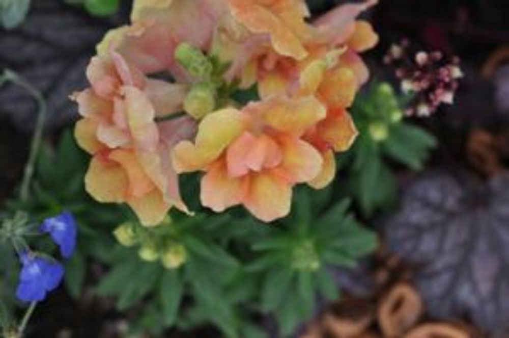 Photo by takako *さん