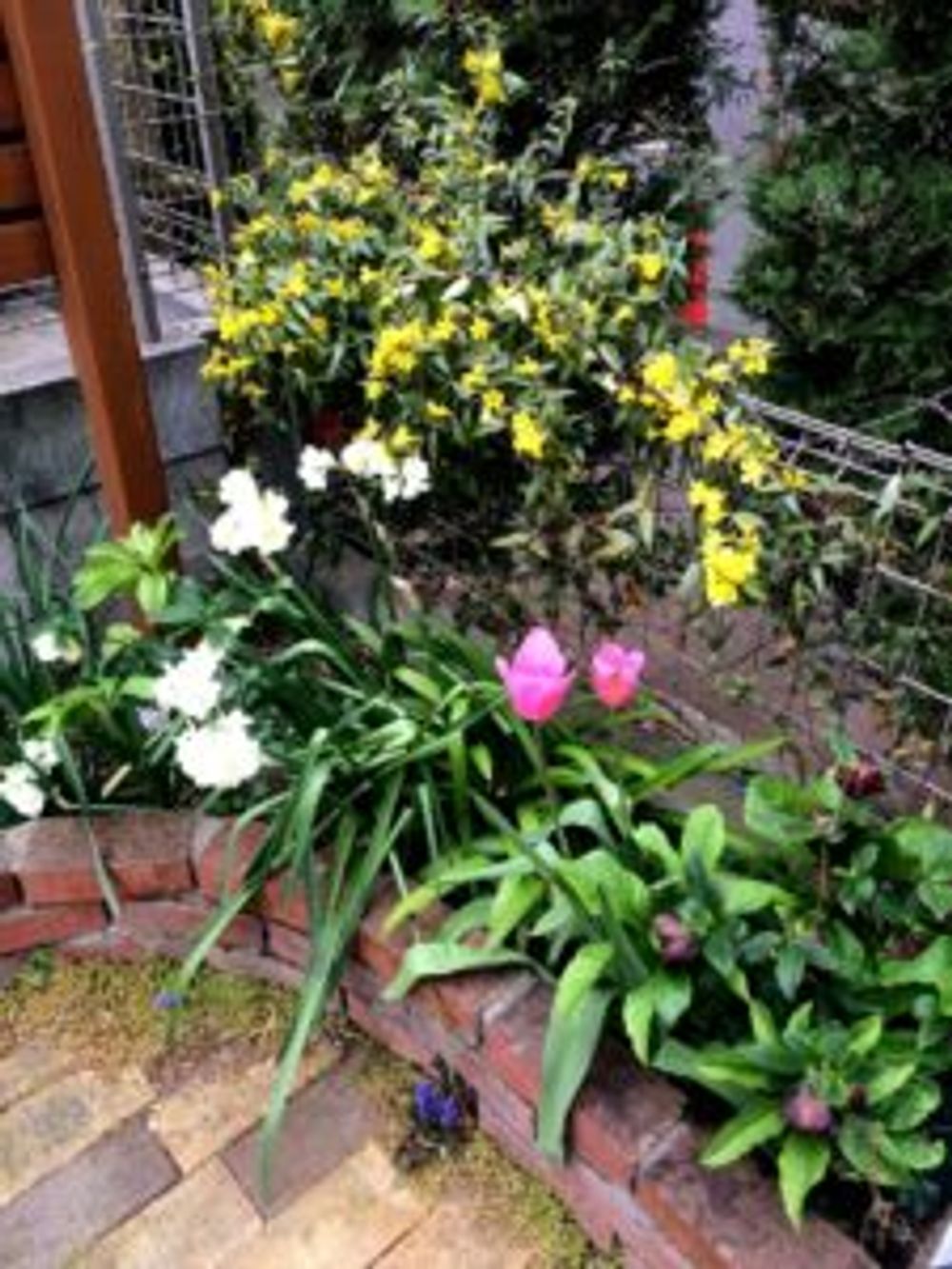 Photo by hiyotaiyoさん