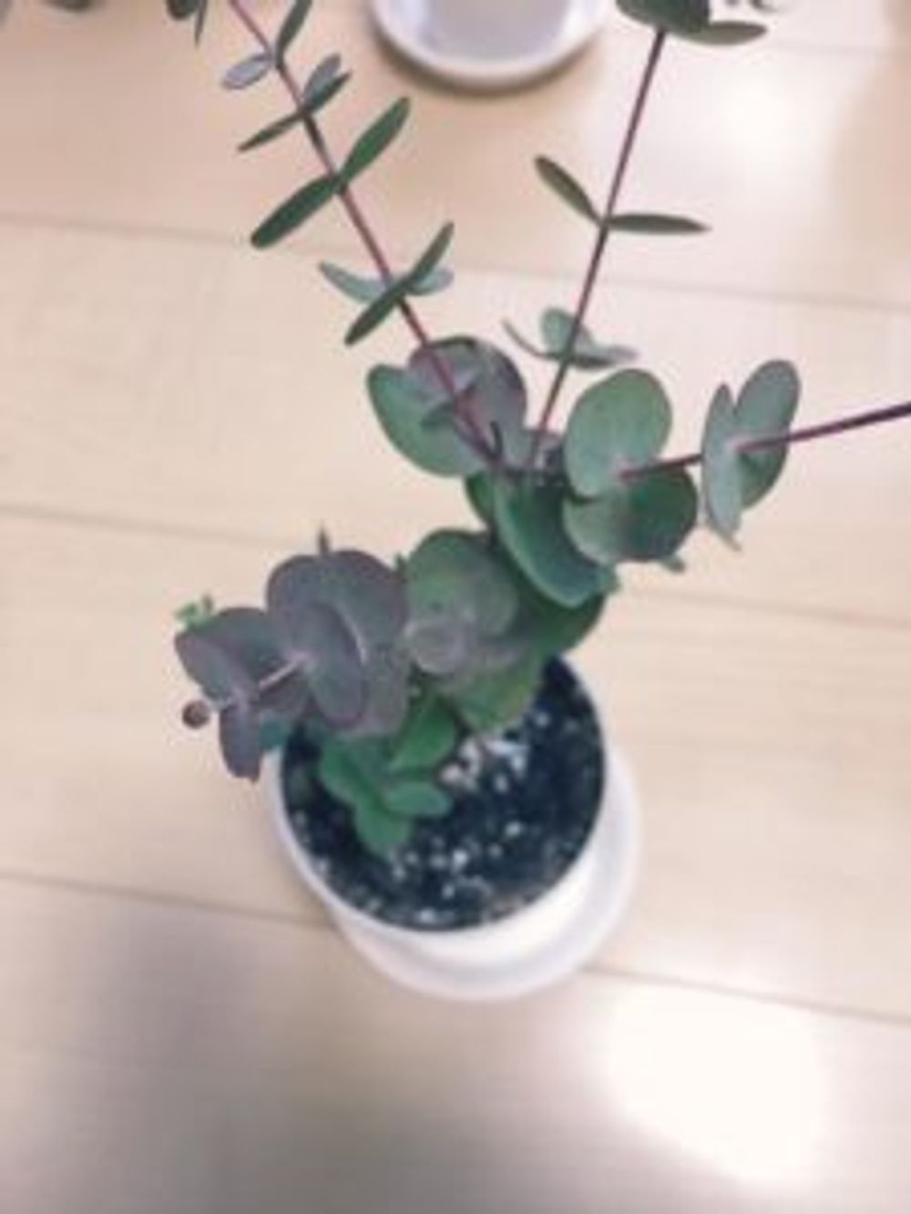 Photo by ちいさん