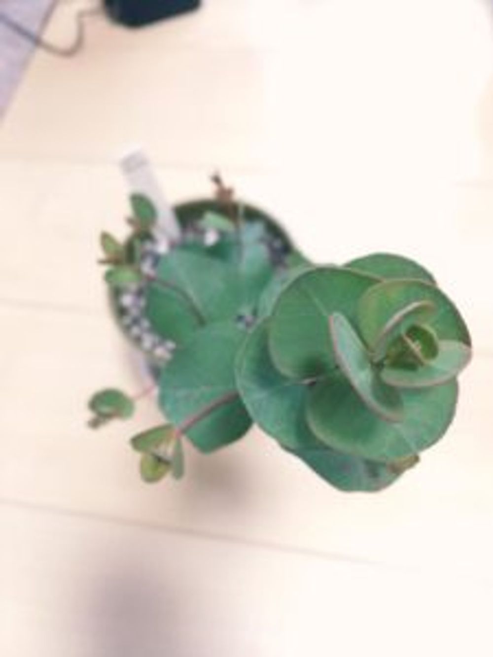 Photo by ちいさん