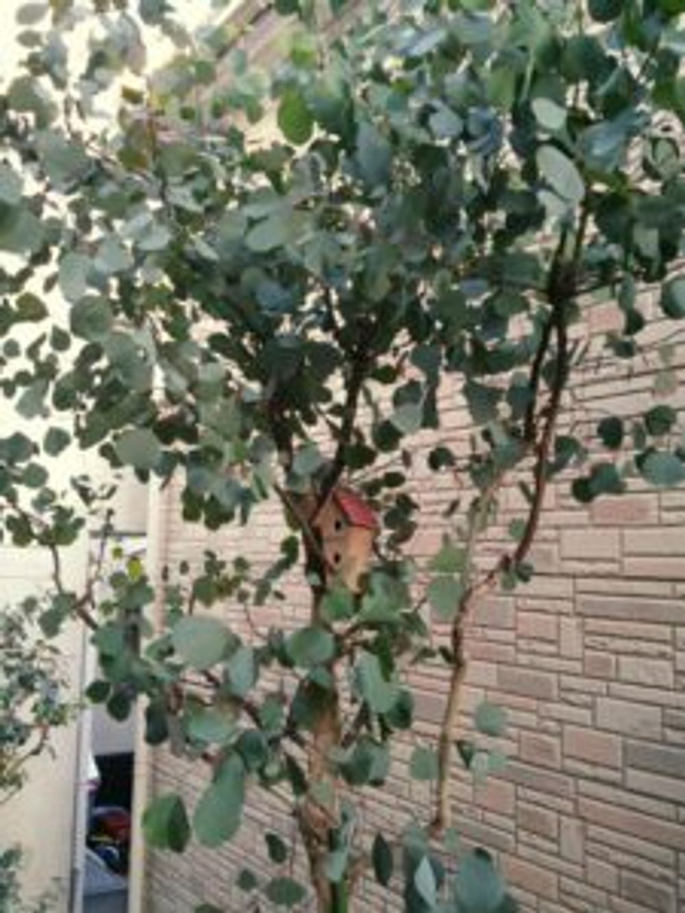 Photo by green ballさん