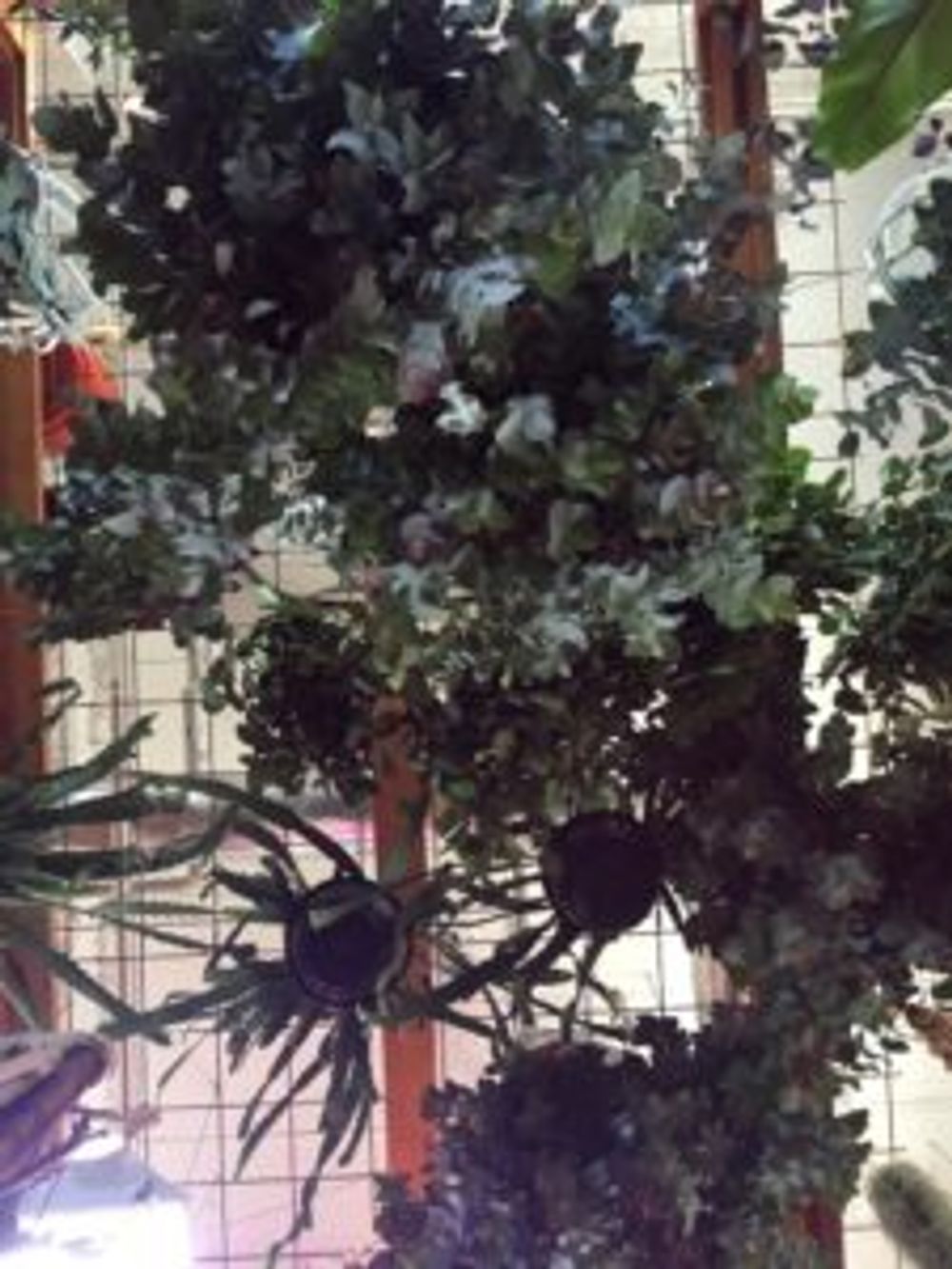 Photo by 花屋誠一朗さん