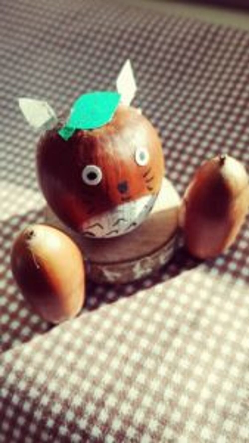 Photo by パセリさん