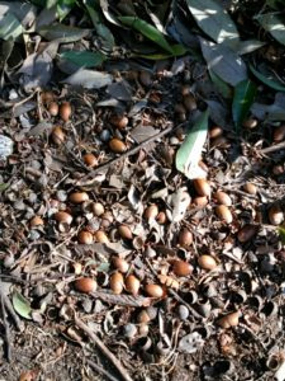 Photo by はなさん