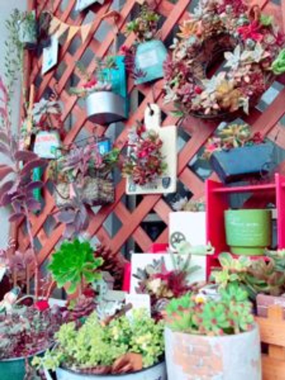 Photo by ショーンさん