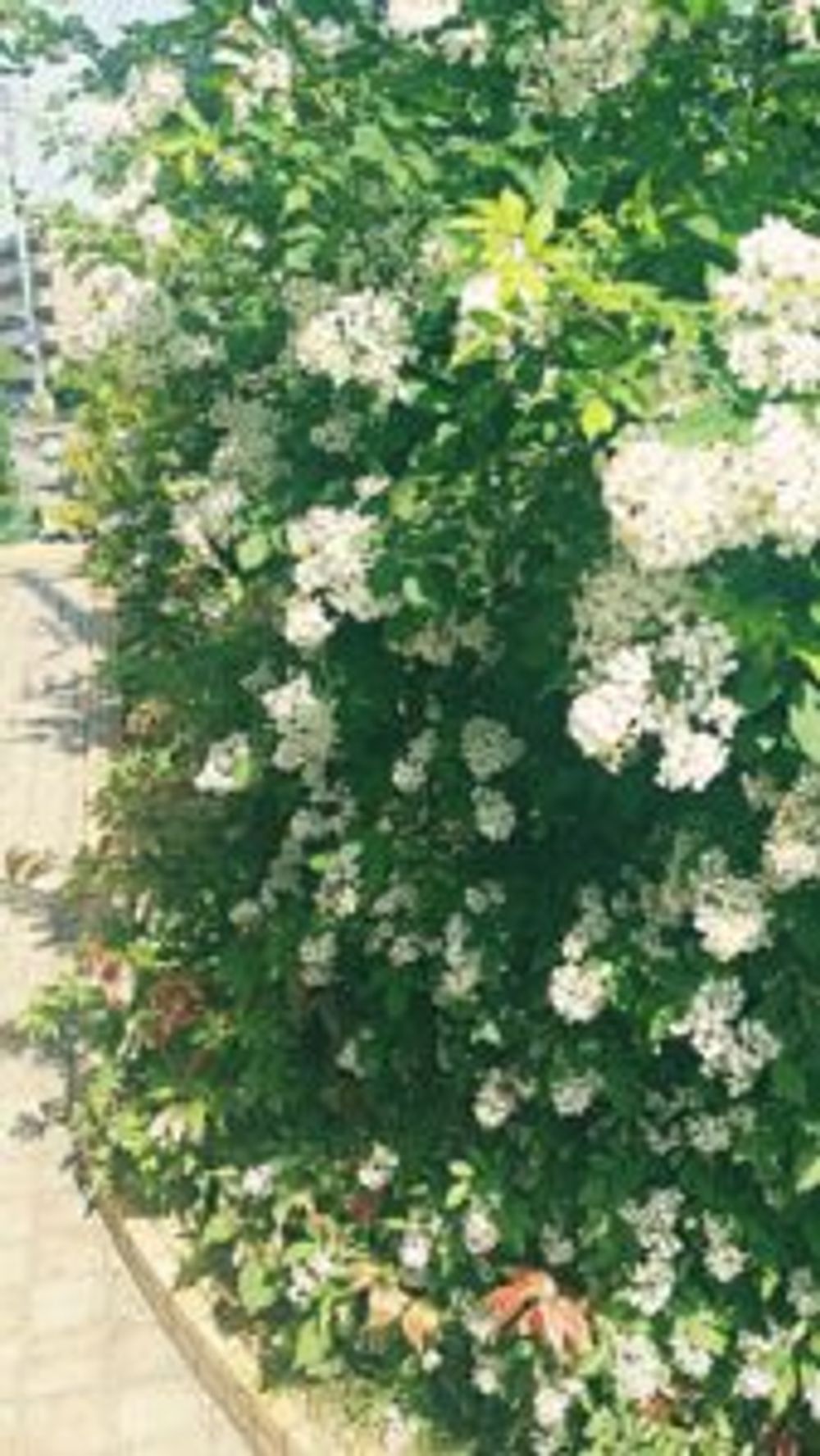 Photo by けいすけさん