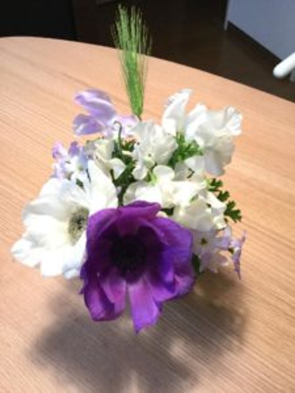 Photo by しゅうたろさん