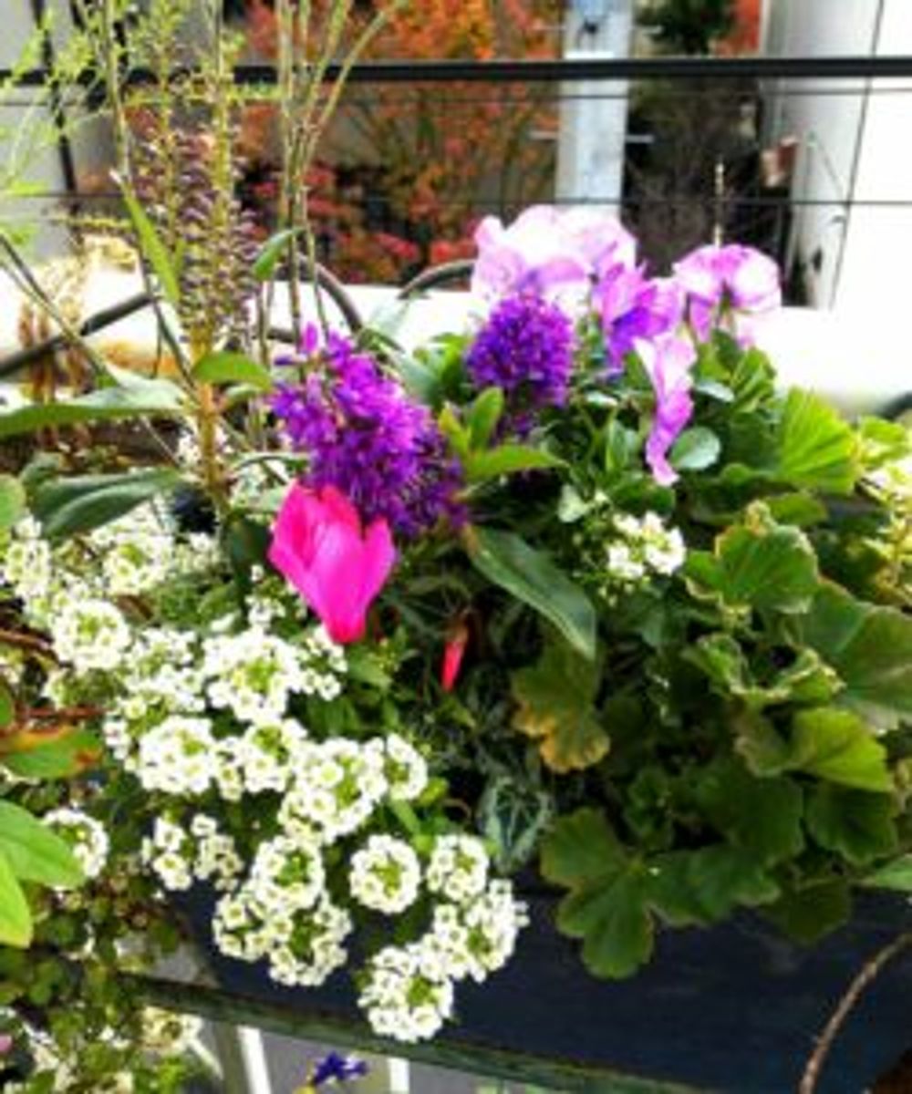 Photo by じゅんじゅんさん