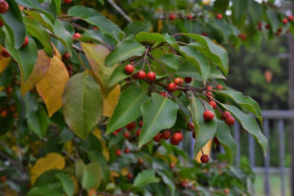 Photo by uekipediaさん