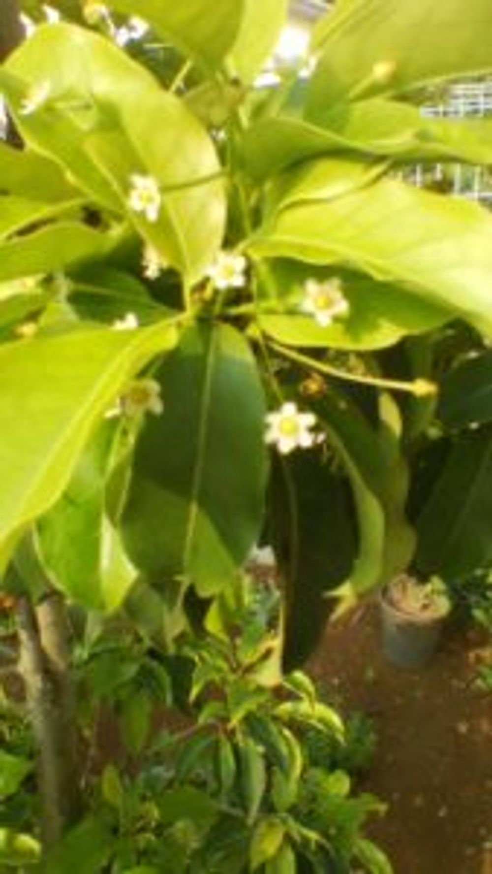 Photo by アンユリさん