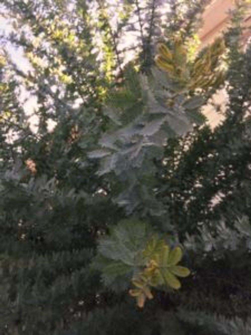 Photo by 風が吹いたらそれが合図ださん