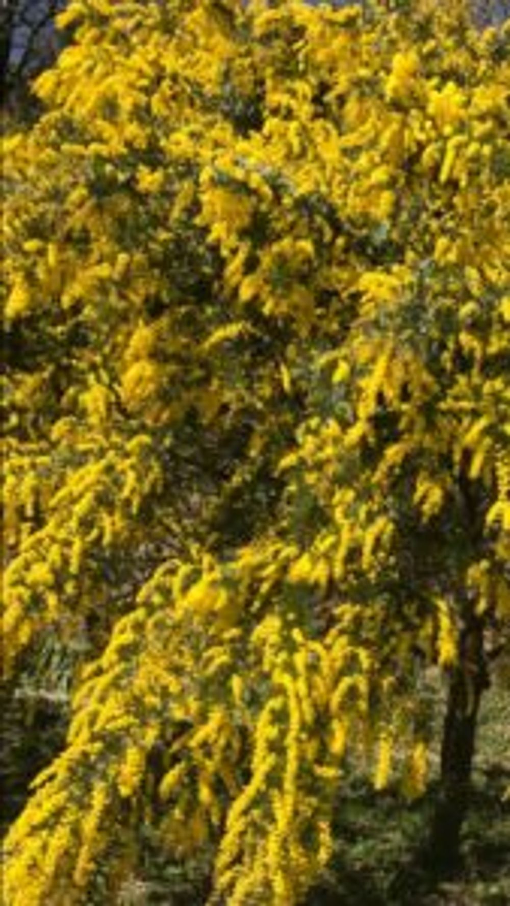 <a href="" target="_blank">Photo by さん@GreenSnap</a>