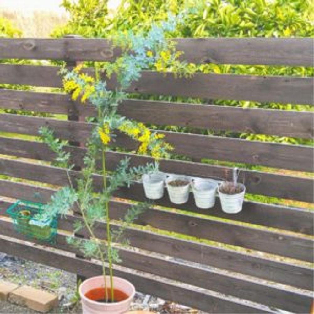 Photo by akotanonさん