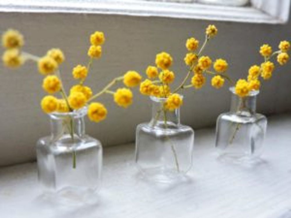 Photo by Mimoza Designさん