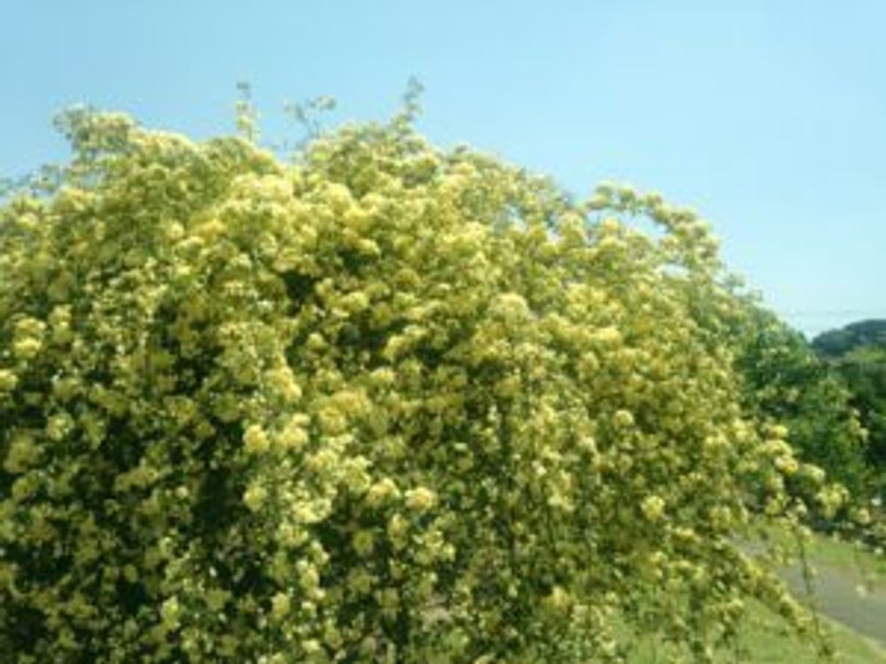 Photo by aco9568さん