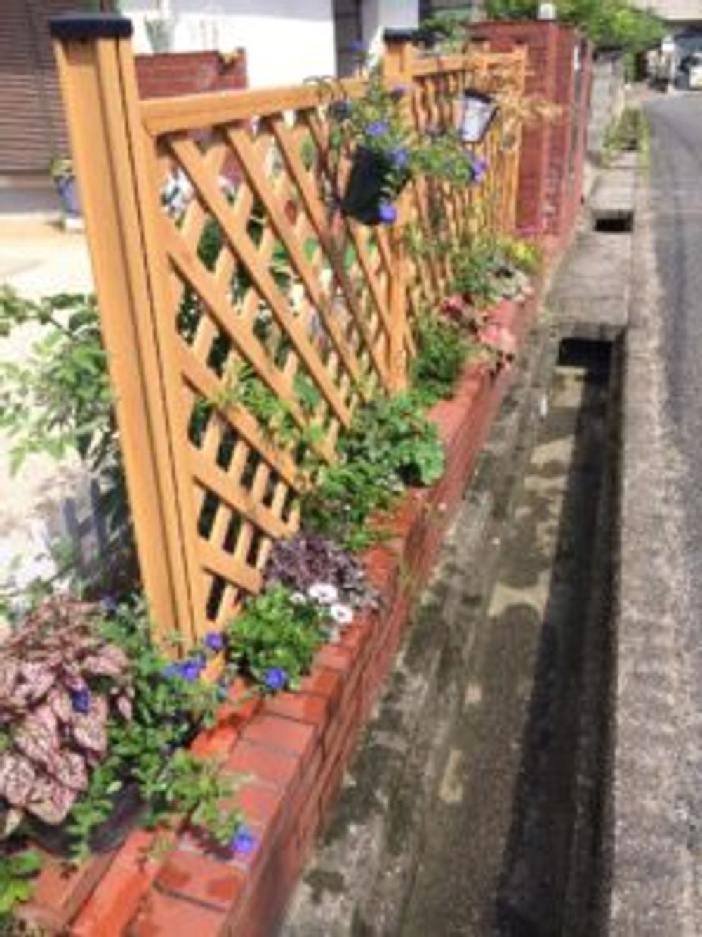 Photo by えみりんさん