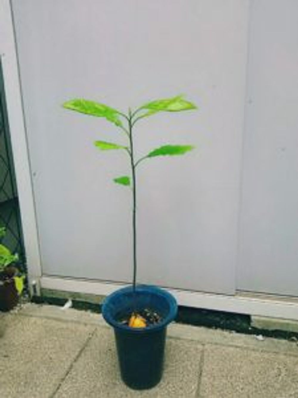 Photo by I LOVE 緑ちゃんさん