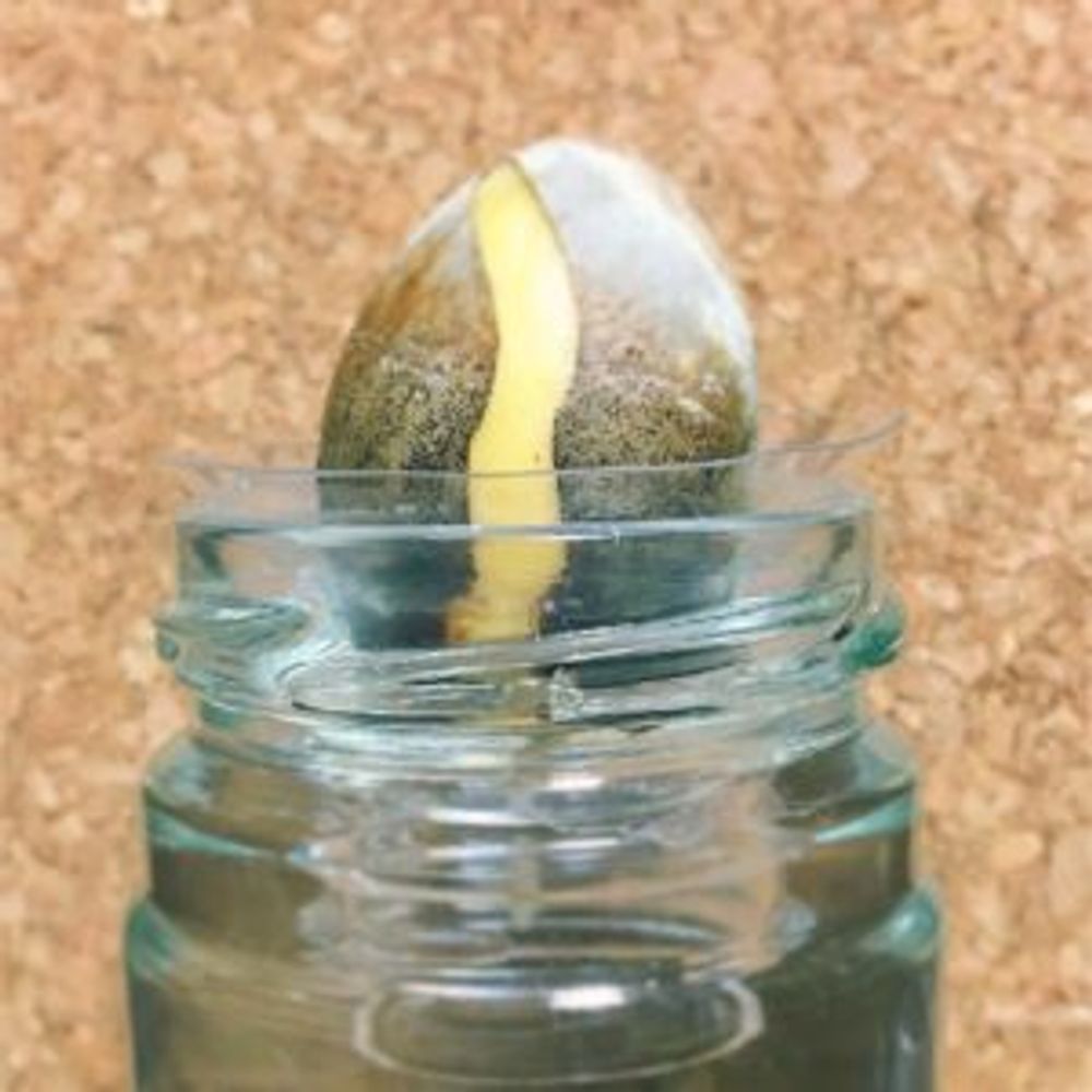 Photo by シィさん