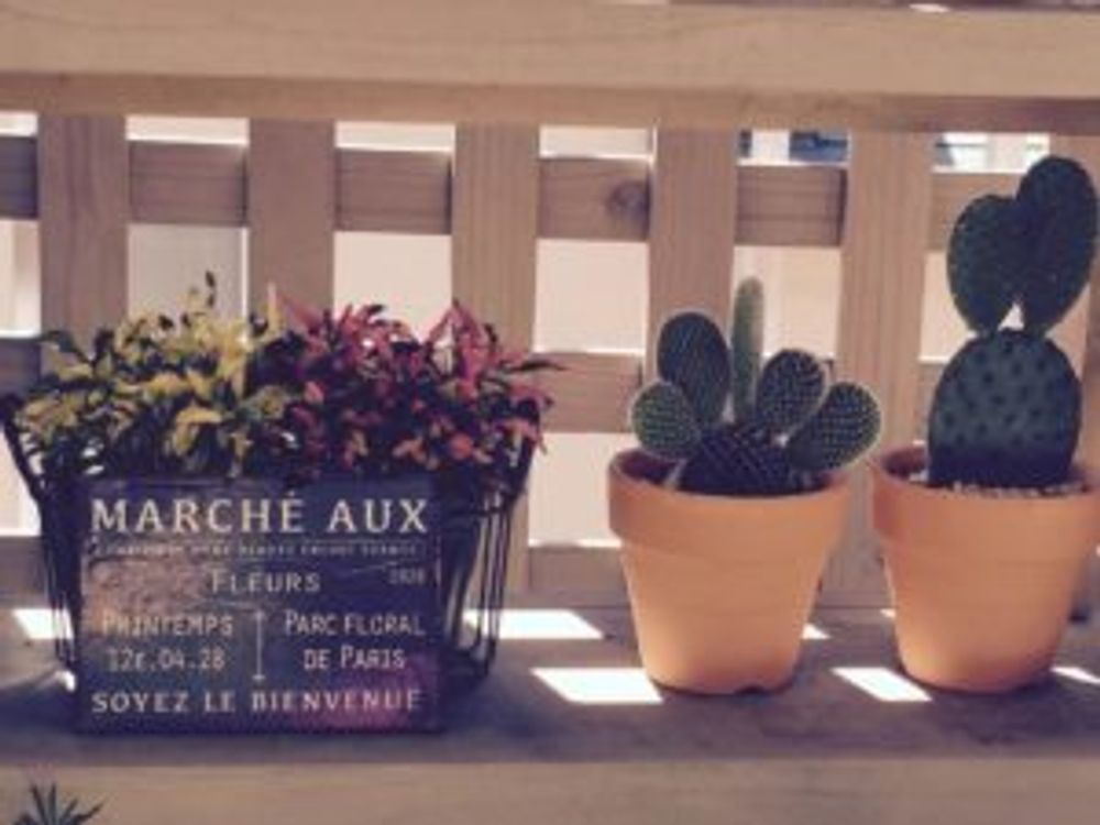 Photo by greenbirchさん