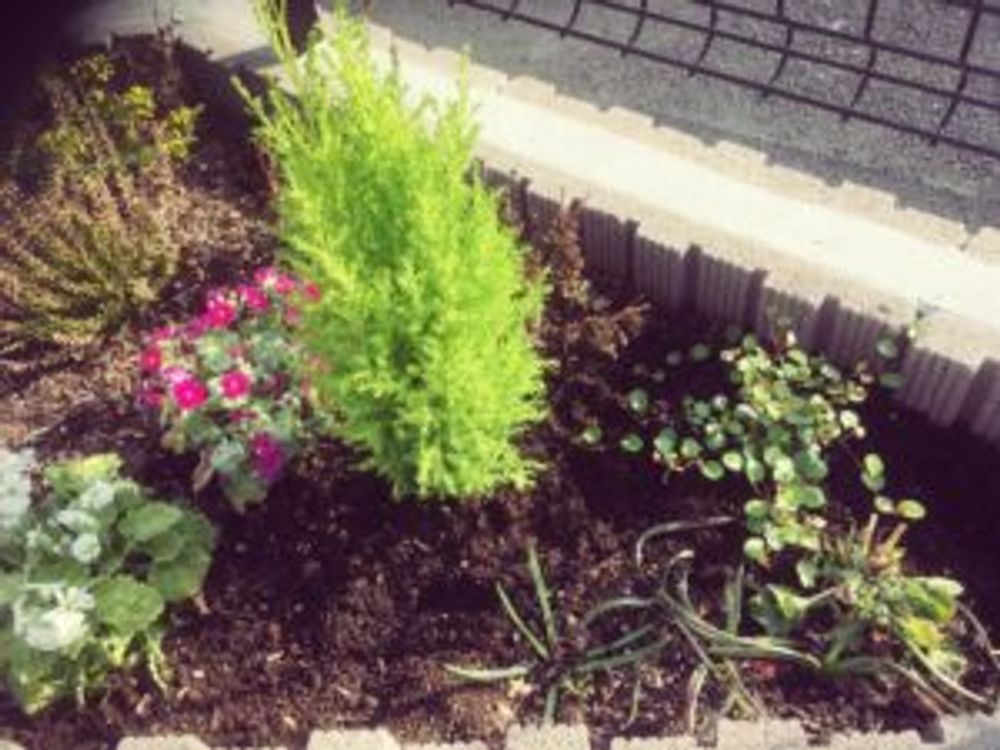 Photo by まりんごさん