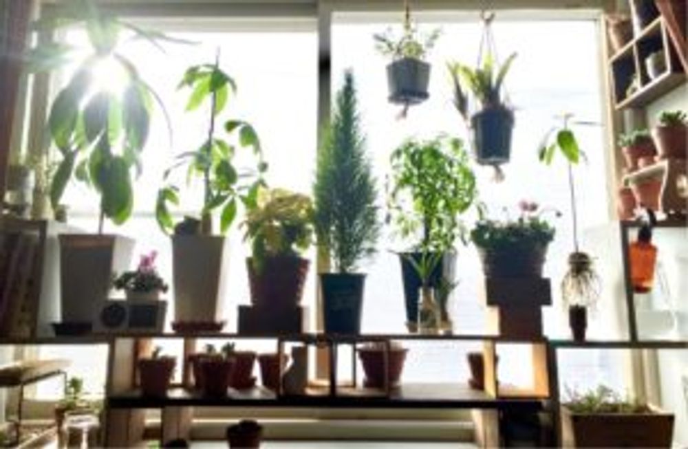 Photo by 草娘さん