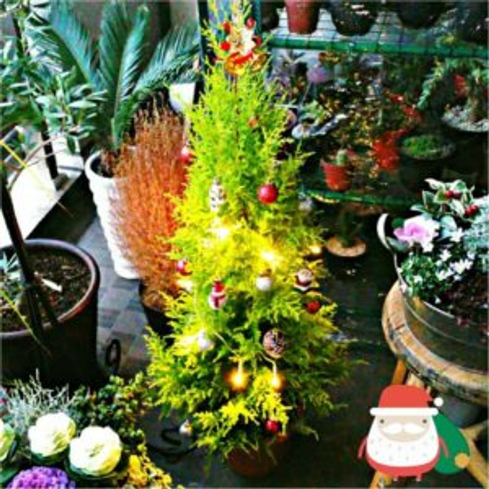 Photo by toshiさん