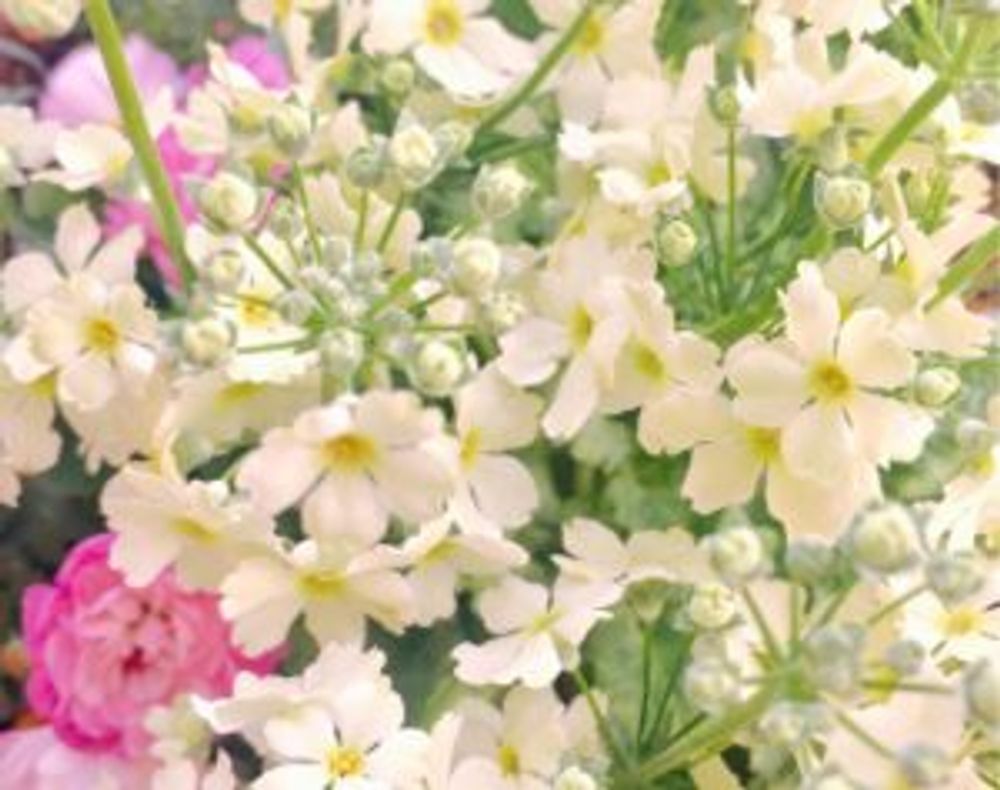 Photo by もす子さん