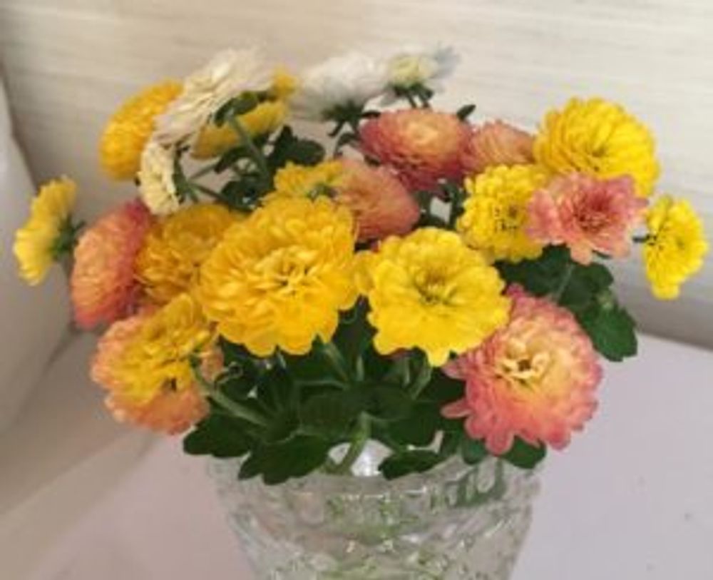 Photo by тамараさん