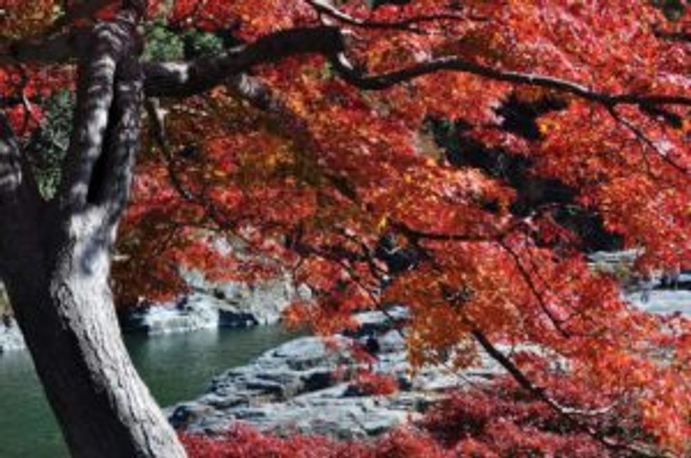 Photo by じゃすみんさん