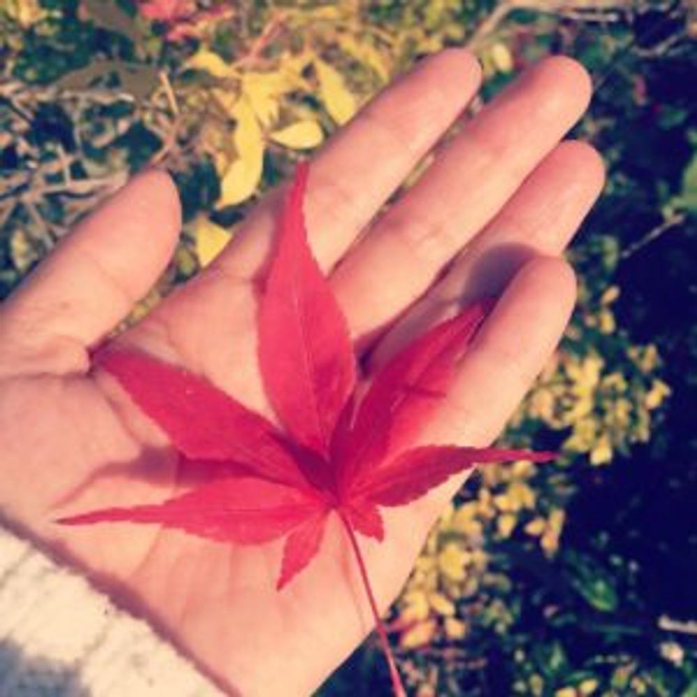 Photo by naricooさん