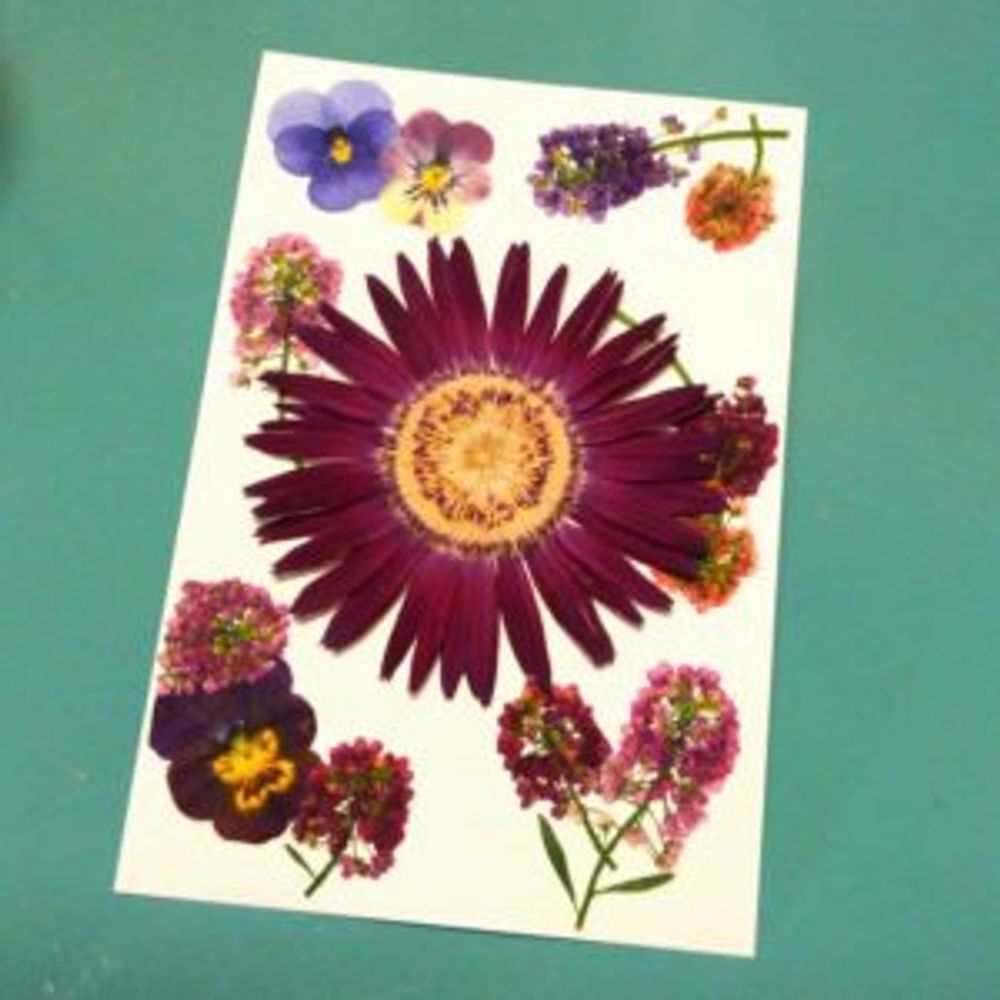 Photo by pieni_sayaさん