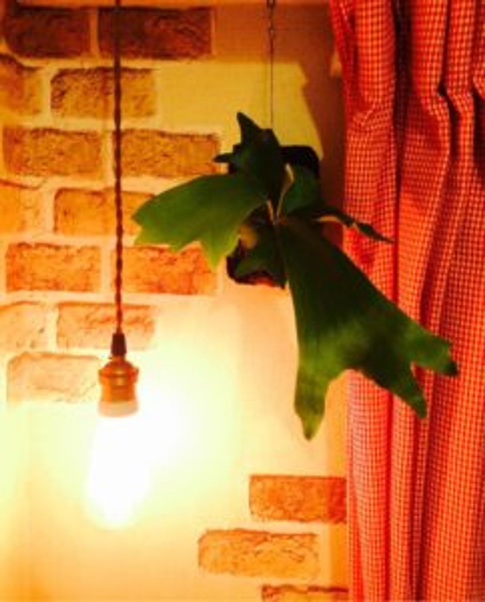 Photo by hetupirkaさん