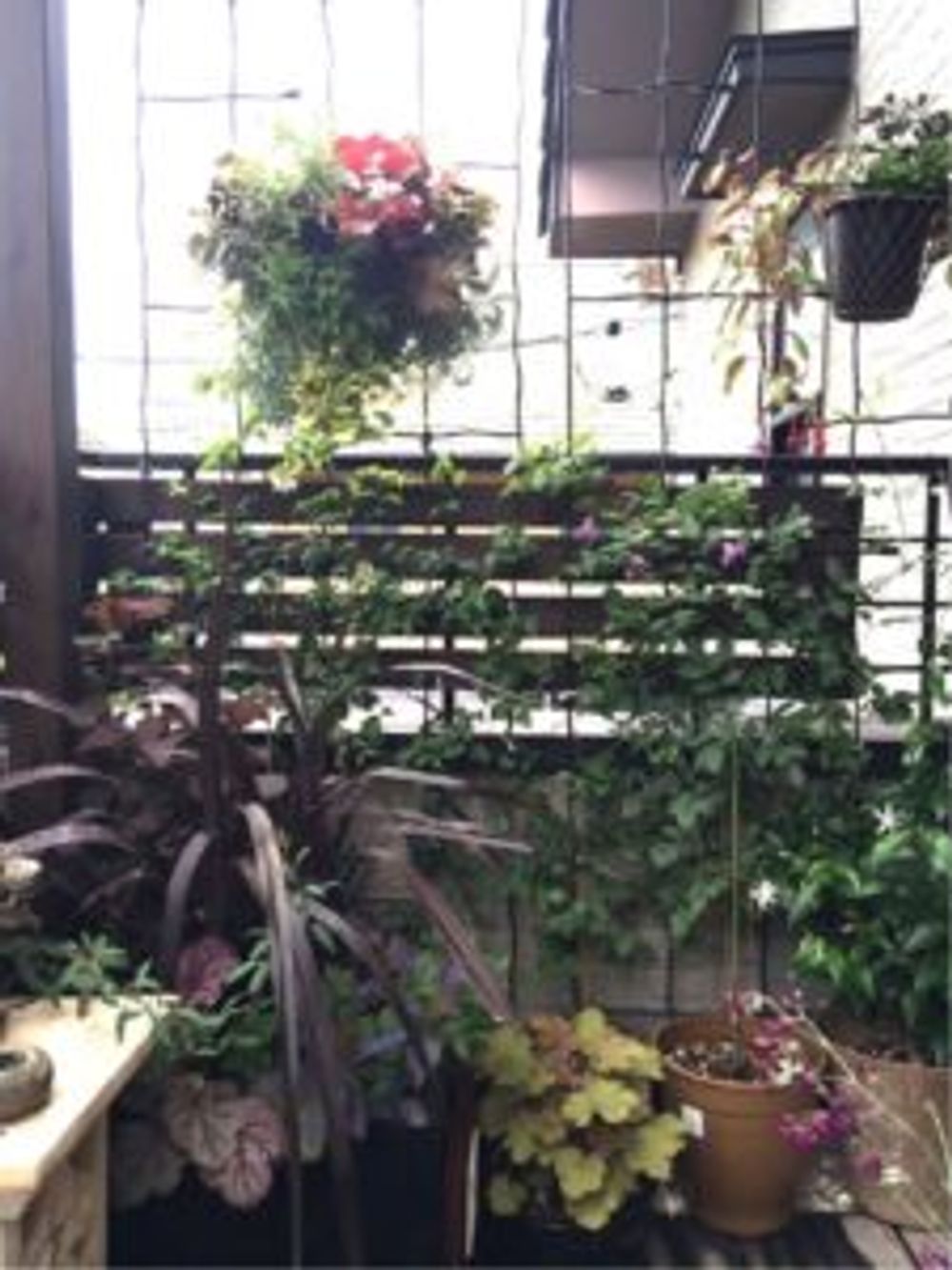 Photo by じゃすみんさん